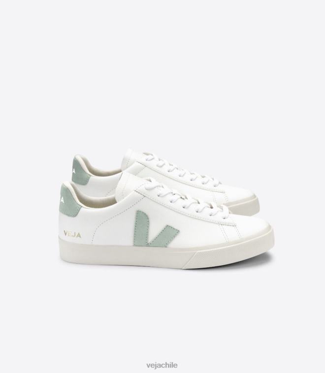 Veja hombres campo cuero sin cromo matcha blanco PDFXH17 zapatos