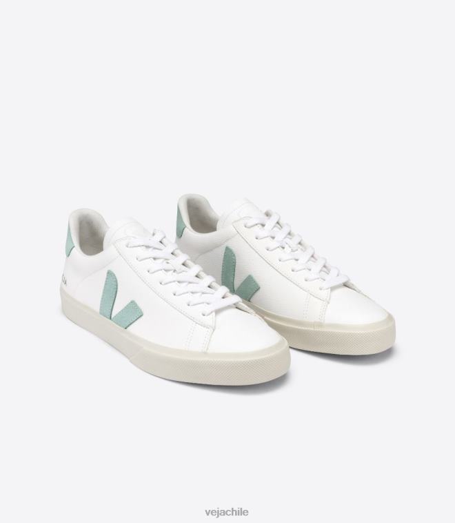 Veja hombres campo cuero sin cromo matcha blanco PDFXH17 zapatos