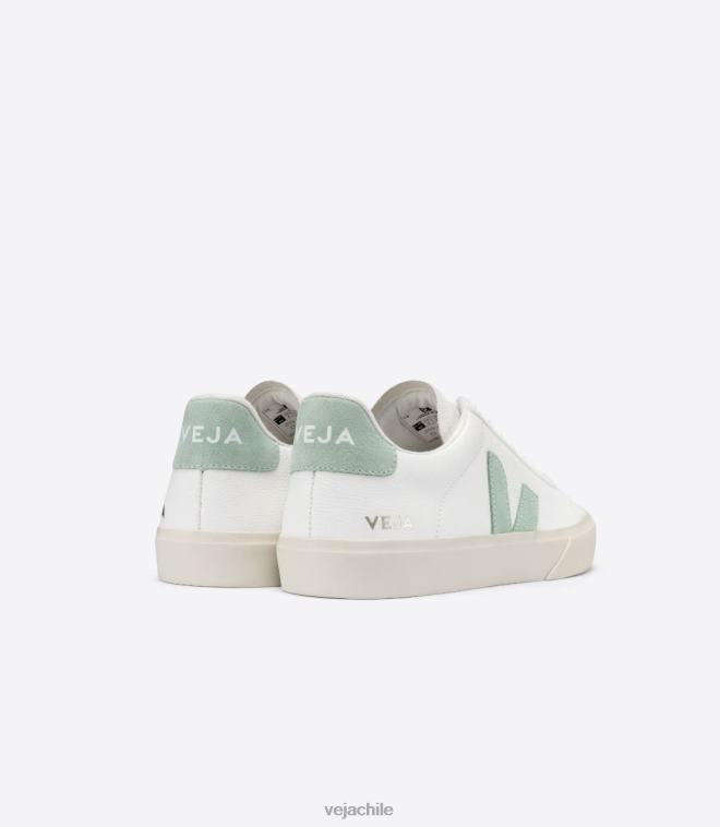 Veja hombres campo cuero sin cromo matcha blanco PDFXH17 zapatos