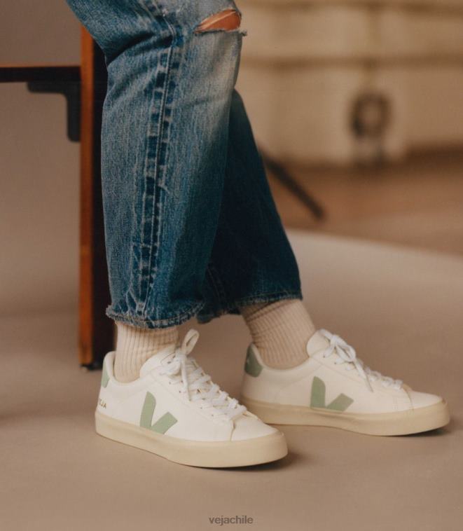 Veja hombres campo cuero sin cromo matcha blanco PDFXH17 zapatos