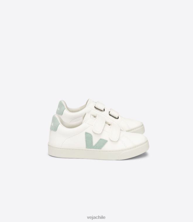 Veja niños esplar cuero sin cromo matcha blanco PDFXH329 zapatos